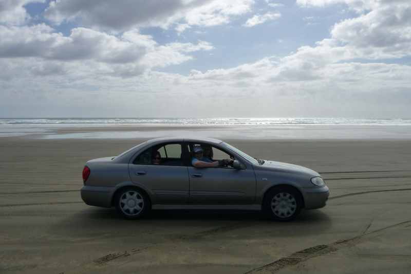 Nieuw-Zeeland 2011 - 0405